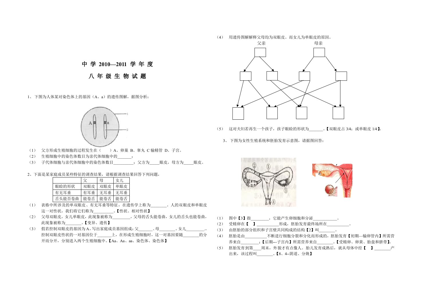 八年级生物复习讲学稿