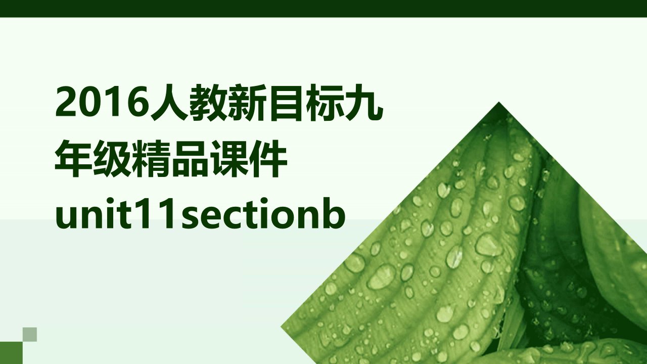 2016人教新目标九年级课件Unit11SectionB