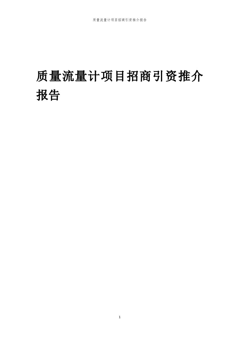 2023年质量流量计项目招商引资推介报告