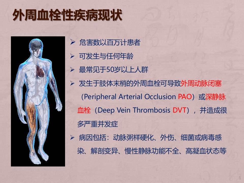 AngioJet血栓抽吸系统介绍ppt课件