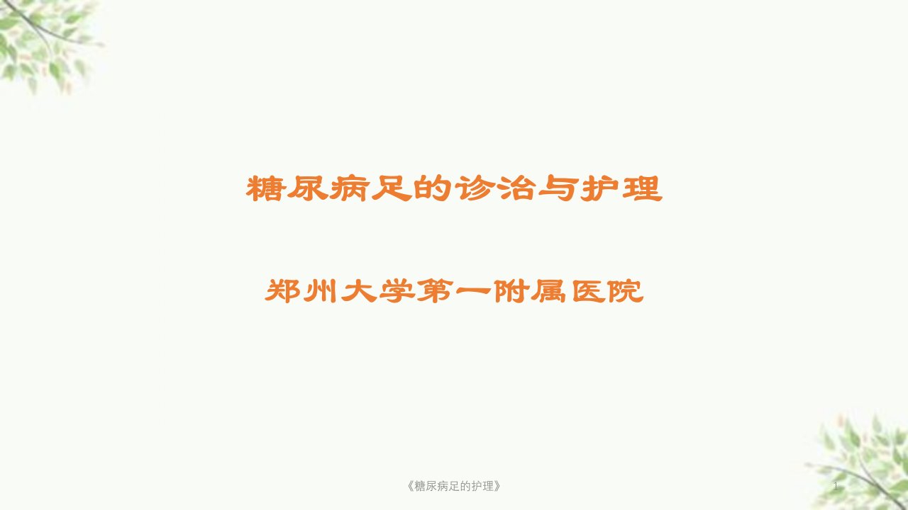 《糖尿病足的护理》ppt课件