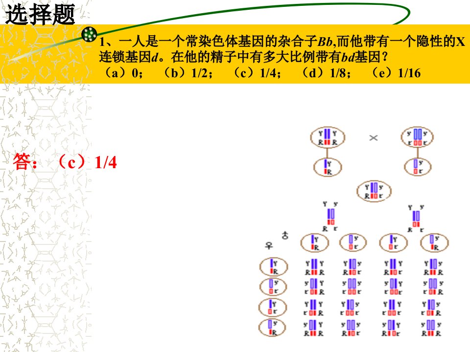 《遗传学练习讲解》PPT课件