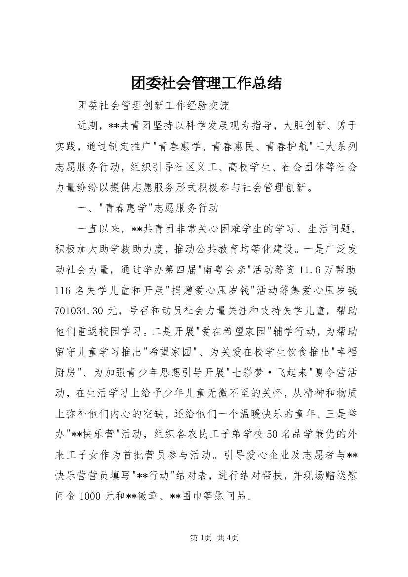 团委社会管理工作总结