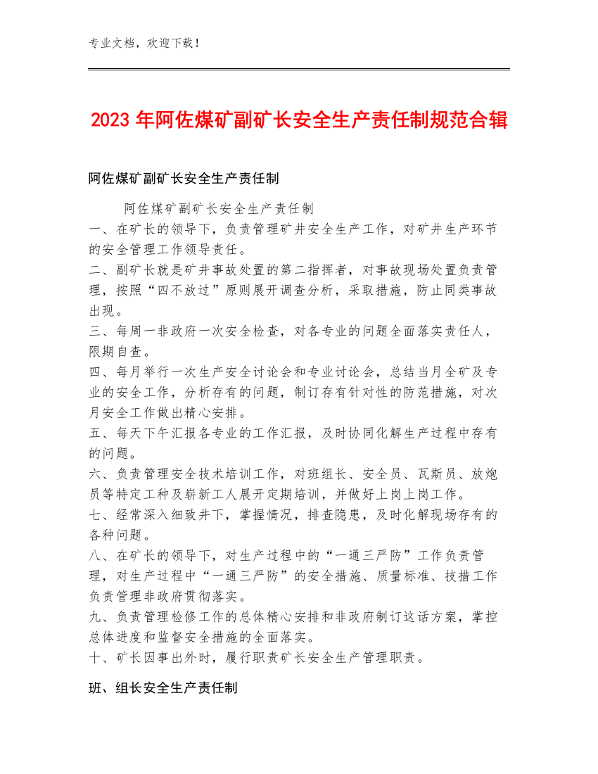 2023年阿佐煤矿副矿长安全生产责任制规范合辑