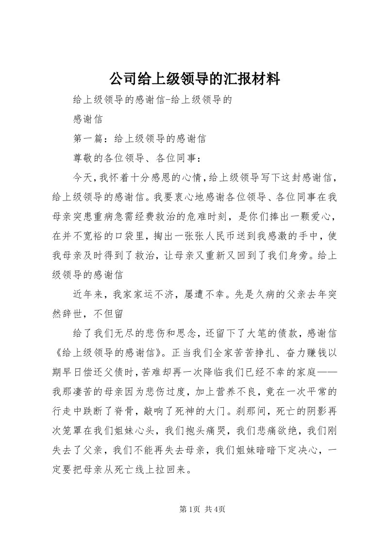 公司给上级领导的汇报材料