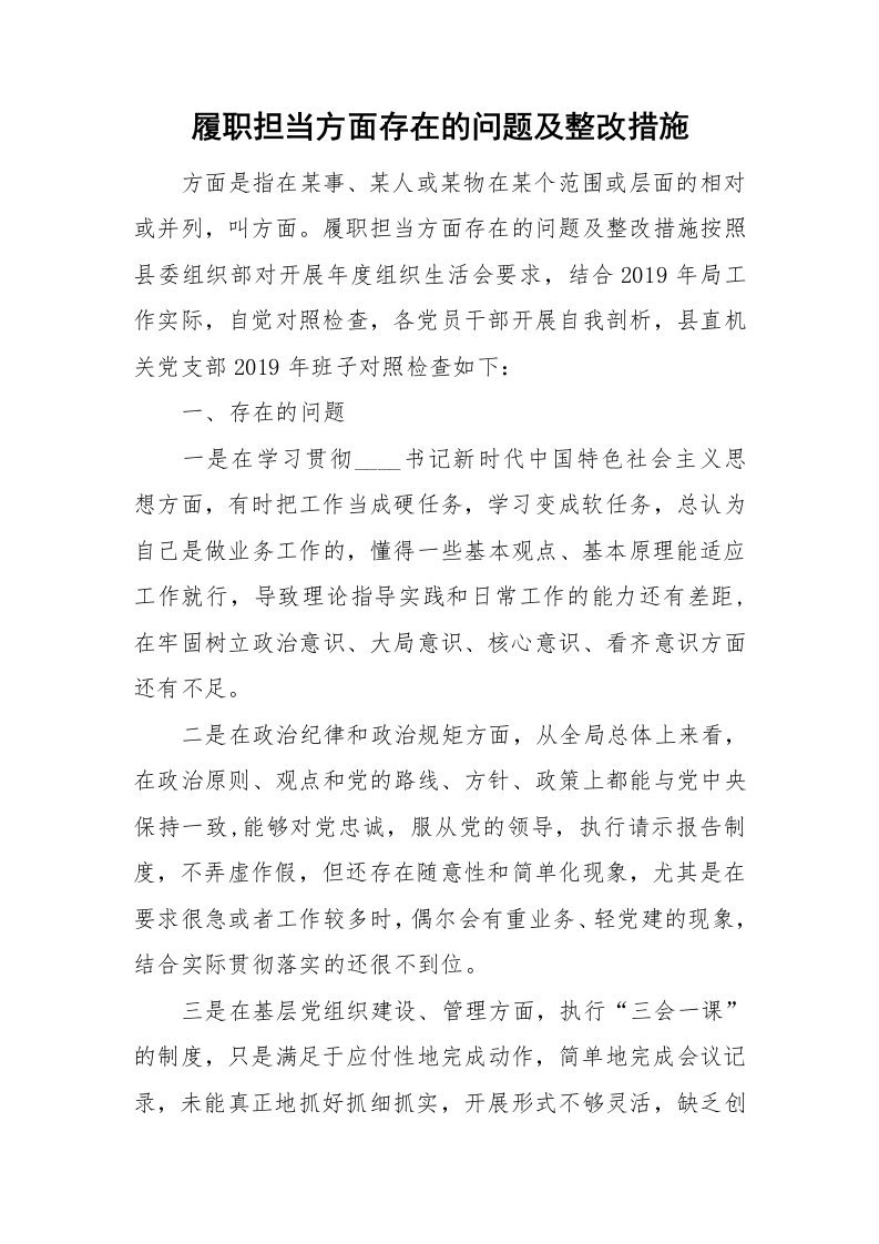 履职担当方面存在的问题及整改措施