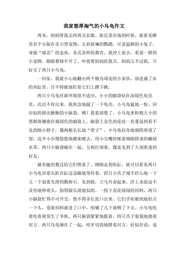 我家憨厚淘气的小乌龟作文