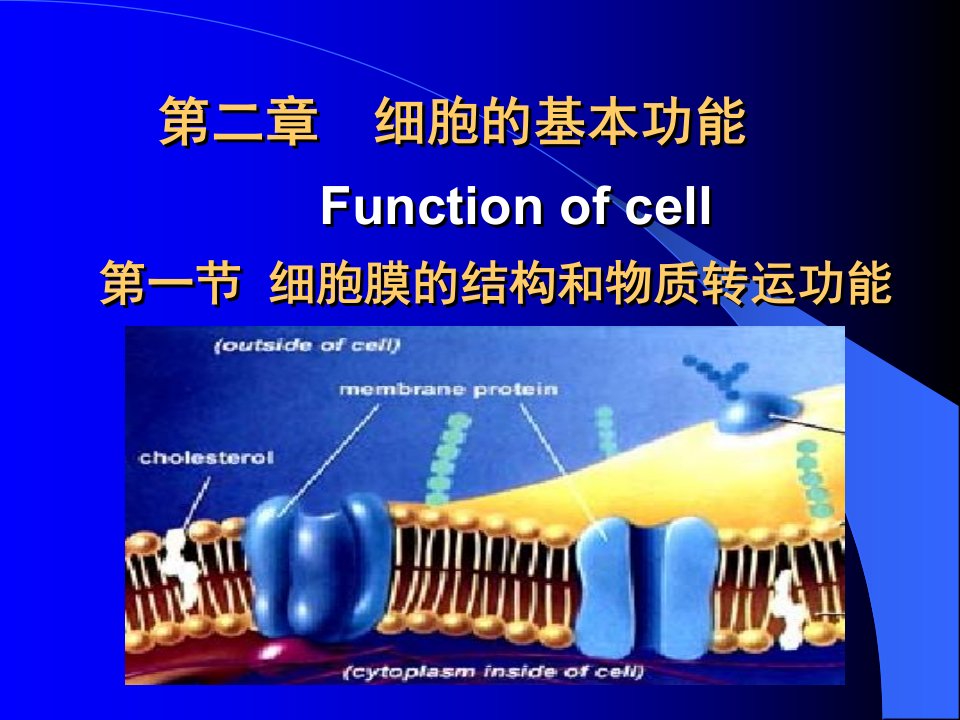 中国医科大学生理学021细胞的基本功能