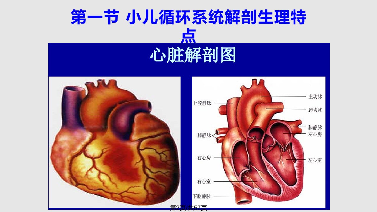 循环系统疾病患儿的护理