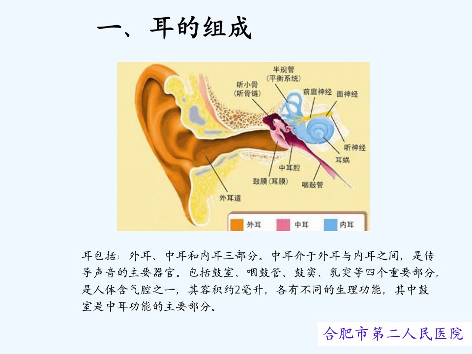 医学专题慢性化脓性中耳炎