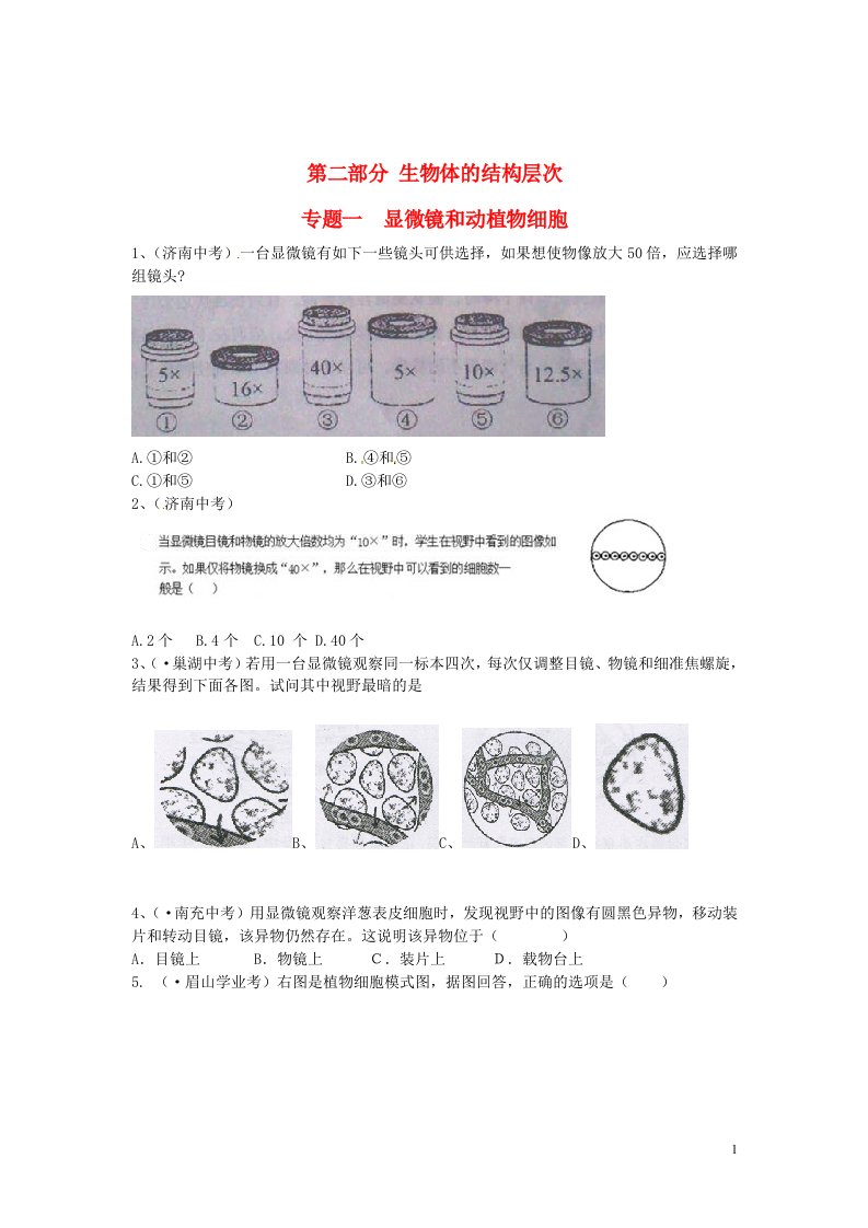 中考生物考点练习