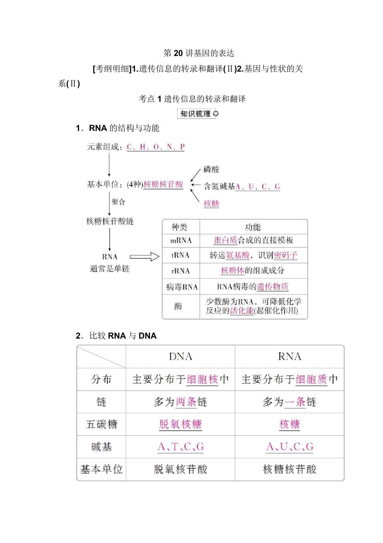 高考生物高分计划一轮讲义第20讲基因的表达Word含解析