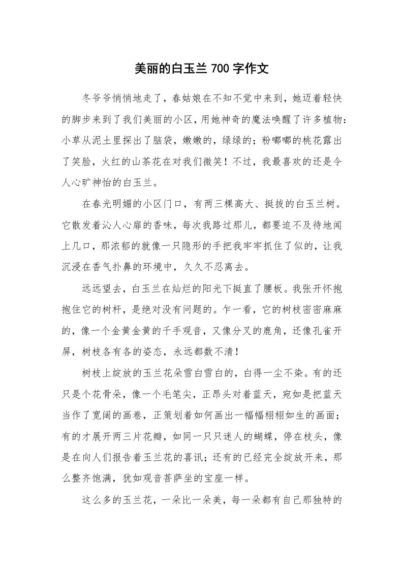 美丽的白玉兰700字作文