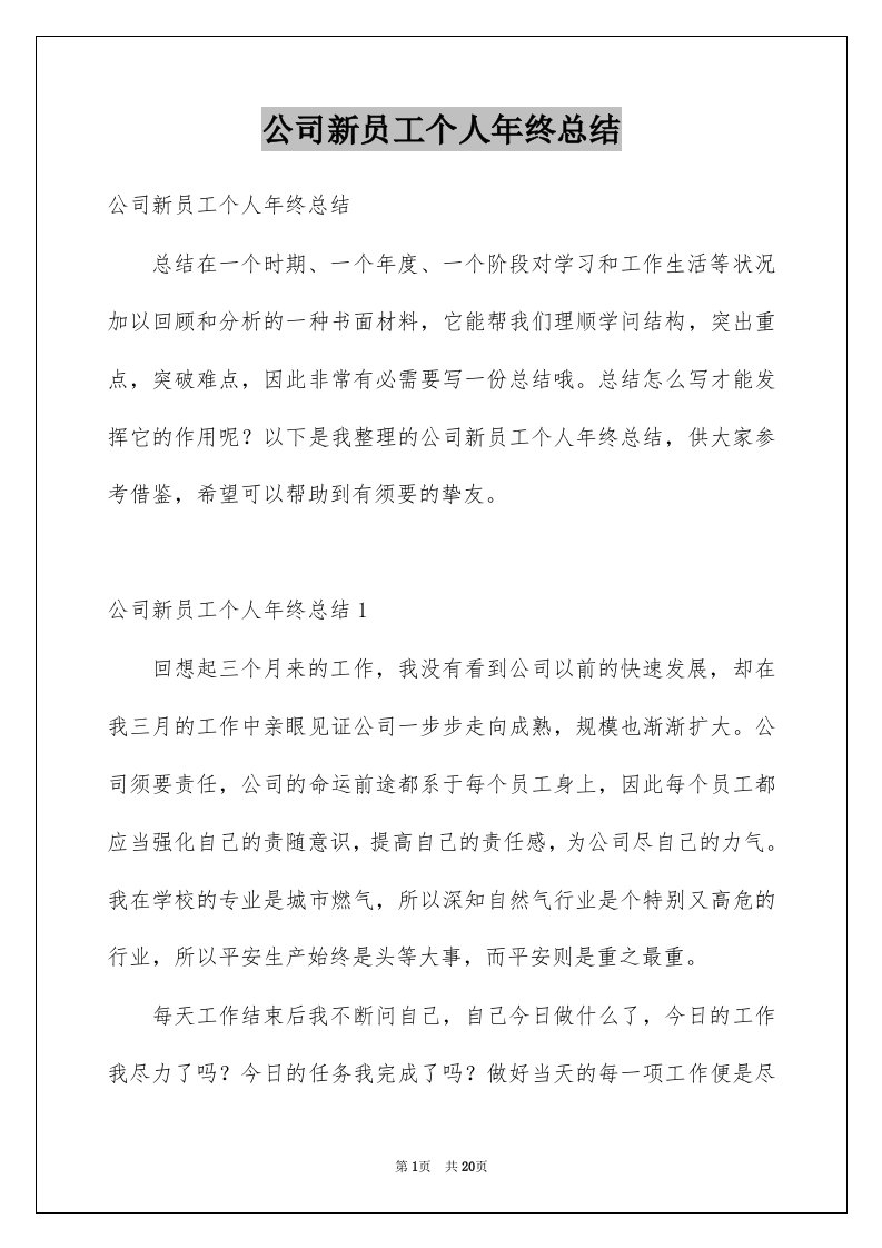 公司新员工个人年终总结例文