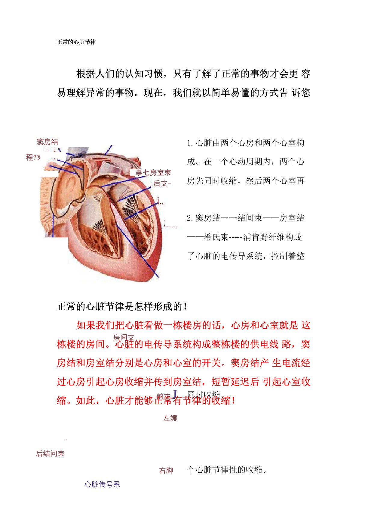 心律失常科普宣传手册