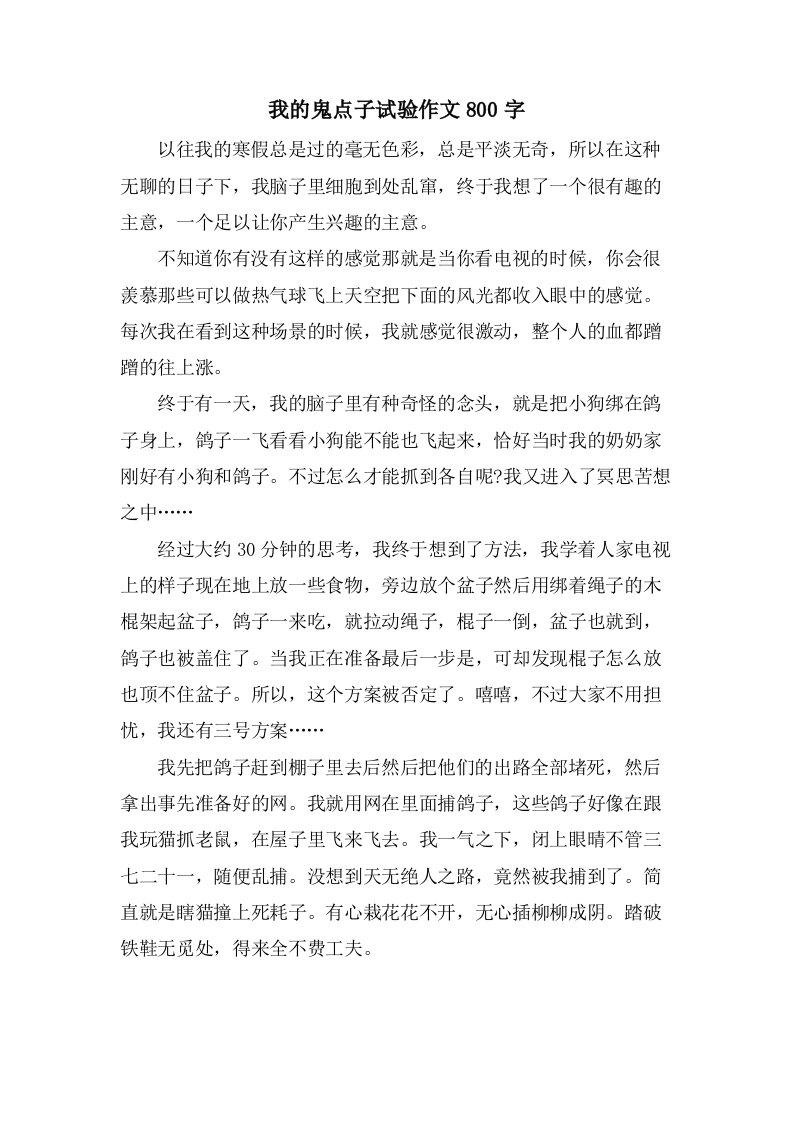 我的鬼点子试验作文800字