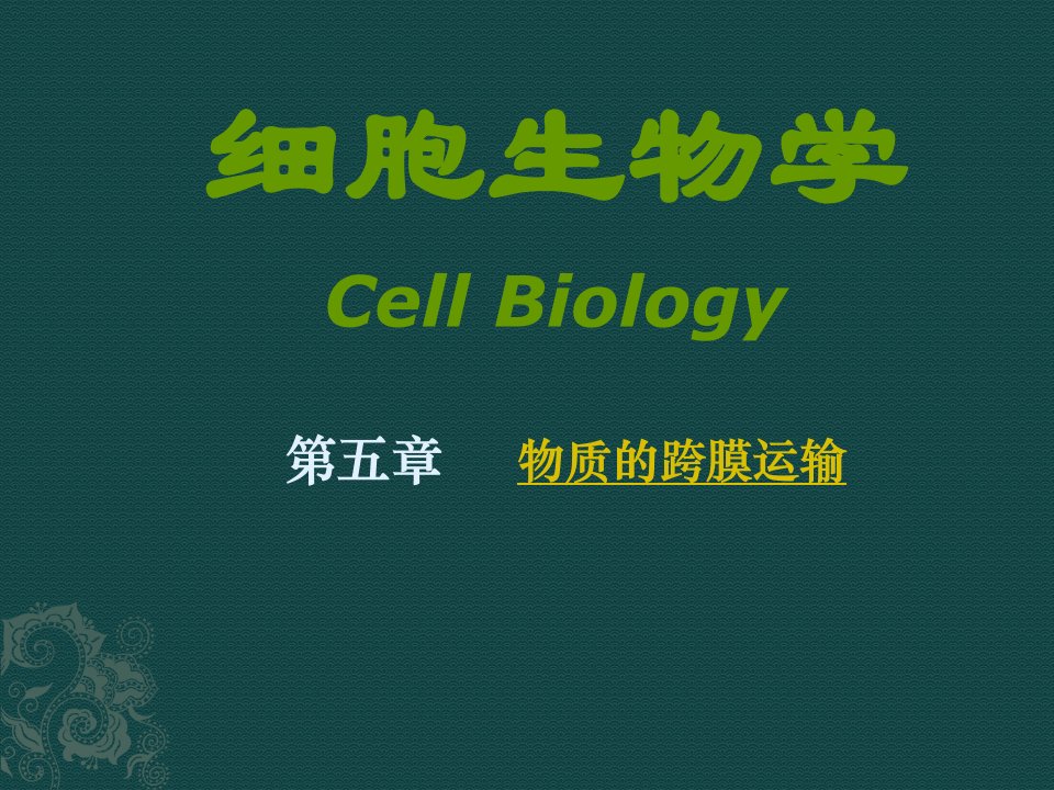 细胞生物学第五章