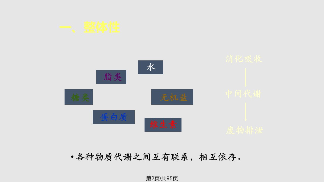 物质代谢联系与调节本