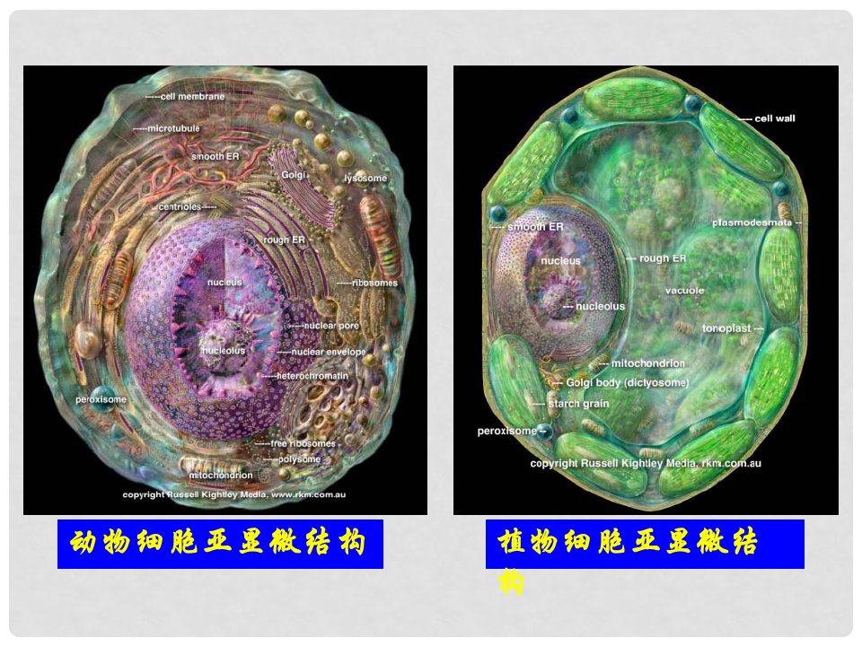 黑龙江省哈尔滨市高中生物