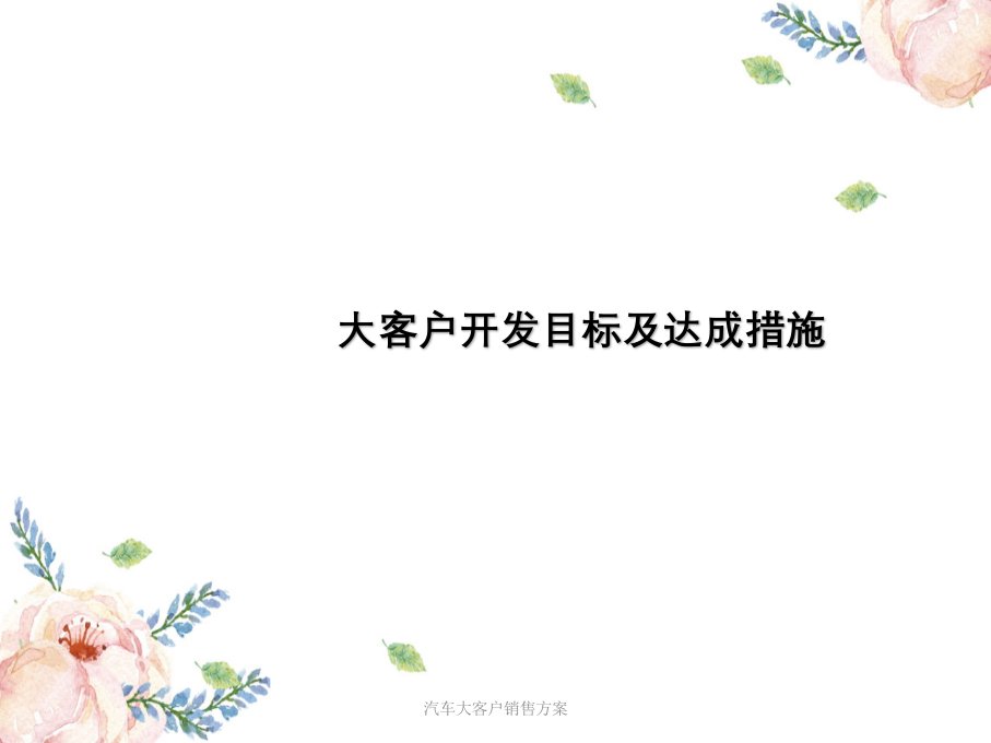 汽车大客户销售方案