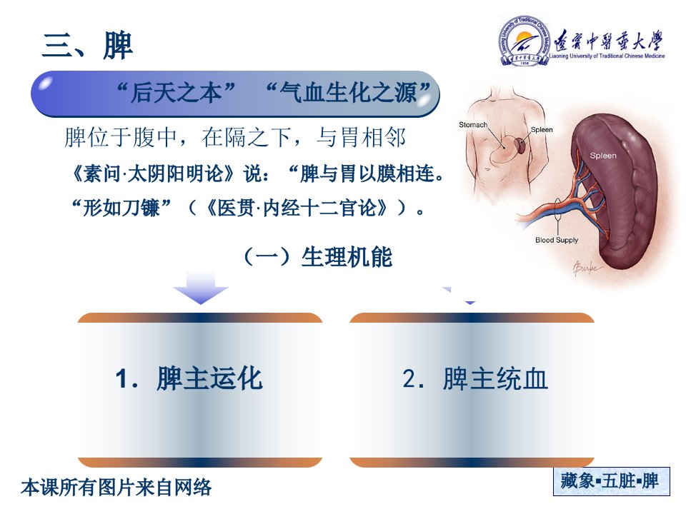 中医基础理论