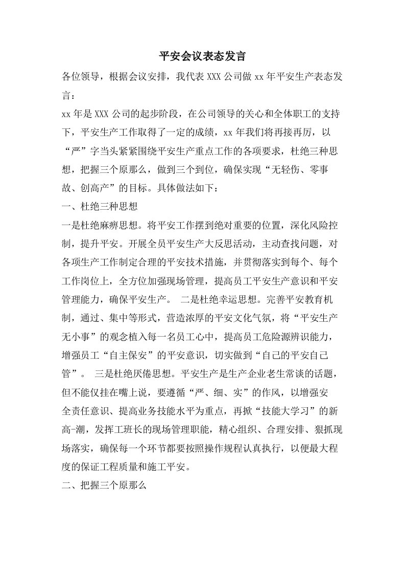 安全会议表态发言