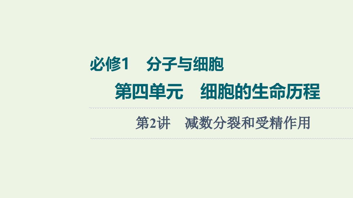 2022版高考生物一轮复习第4单元细胞的生命历程第2讲减数分裂和受精作用课件