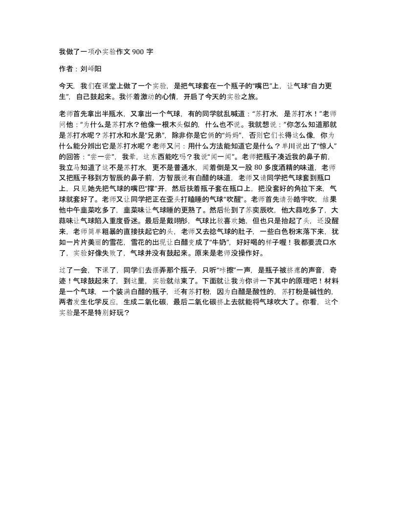 我做了一项小实验作文900字