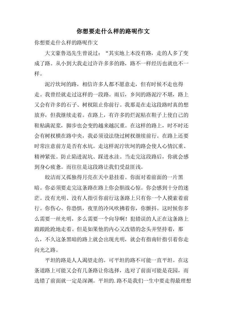 你想要走什么样的路呢作文