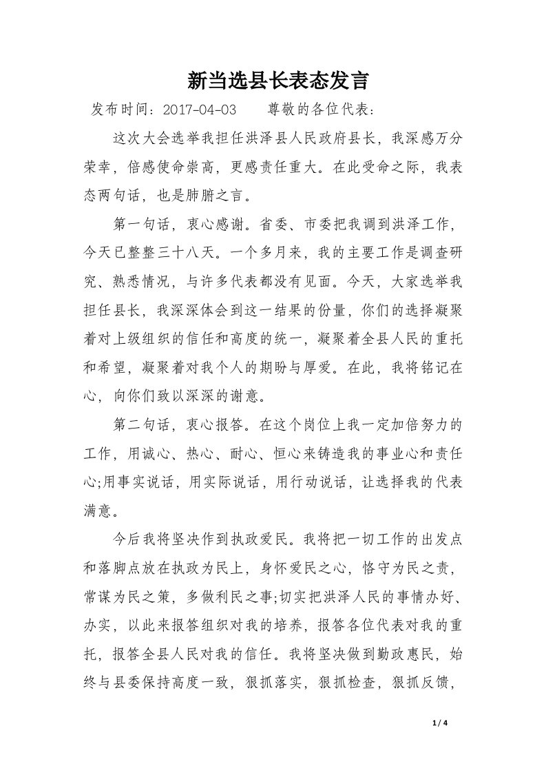 新当选县长表态发言