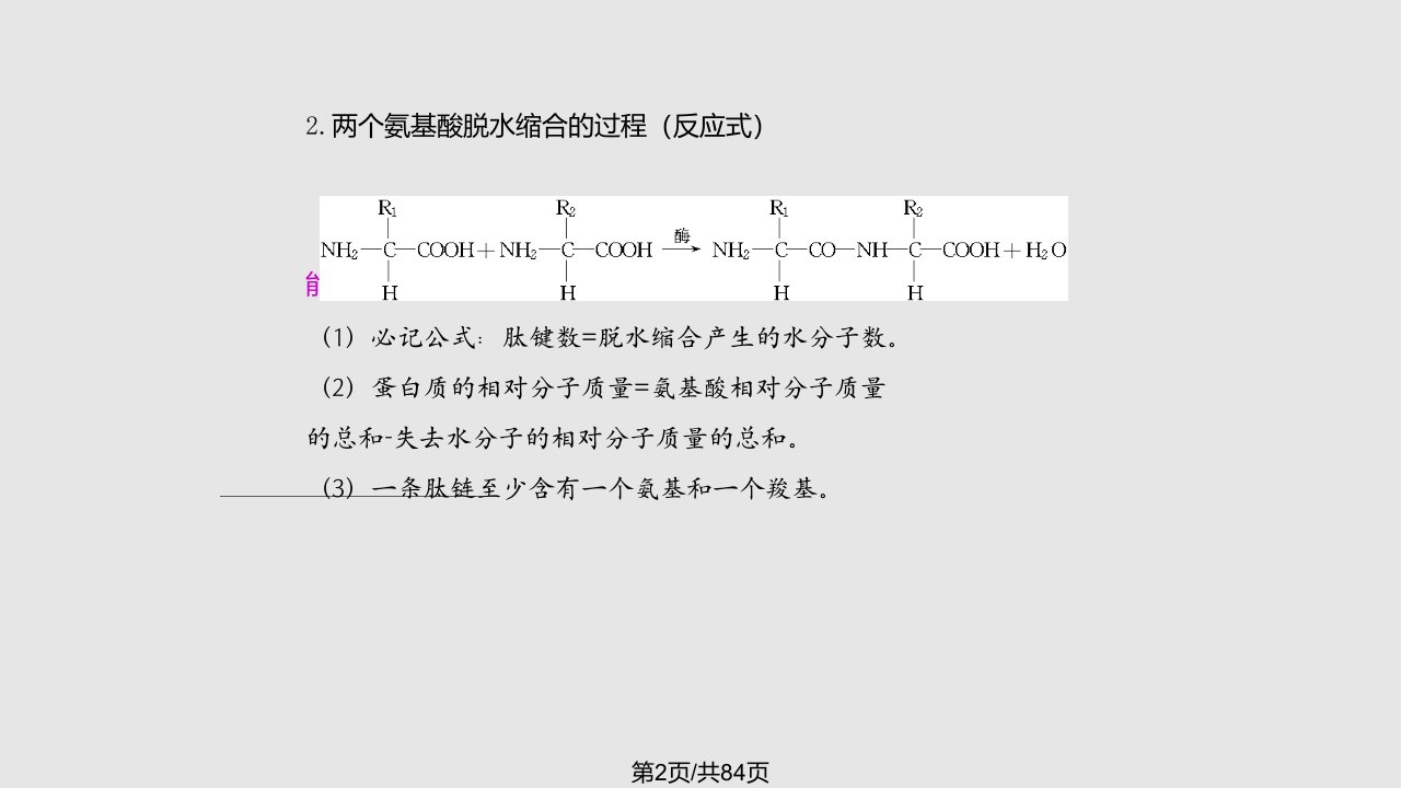 细胞中的生物大分子二蛋白质和核酸