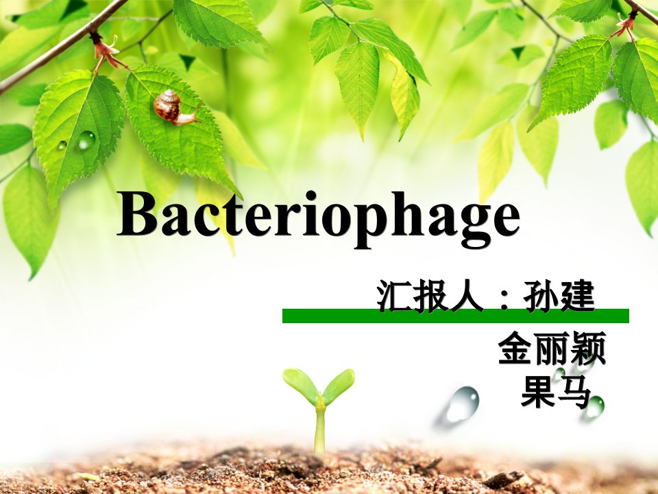 噬菌体生物学课件