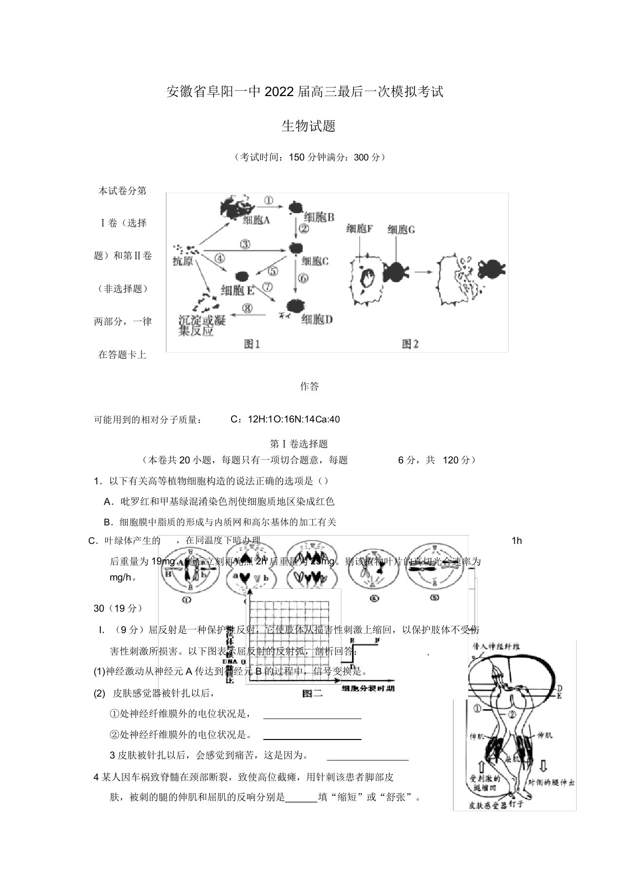 安徽省阜阳一中同步届高三理综最后一次模拟考试试题（生物部分）新人教版