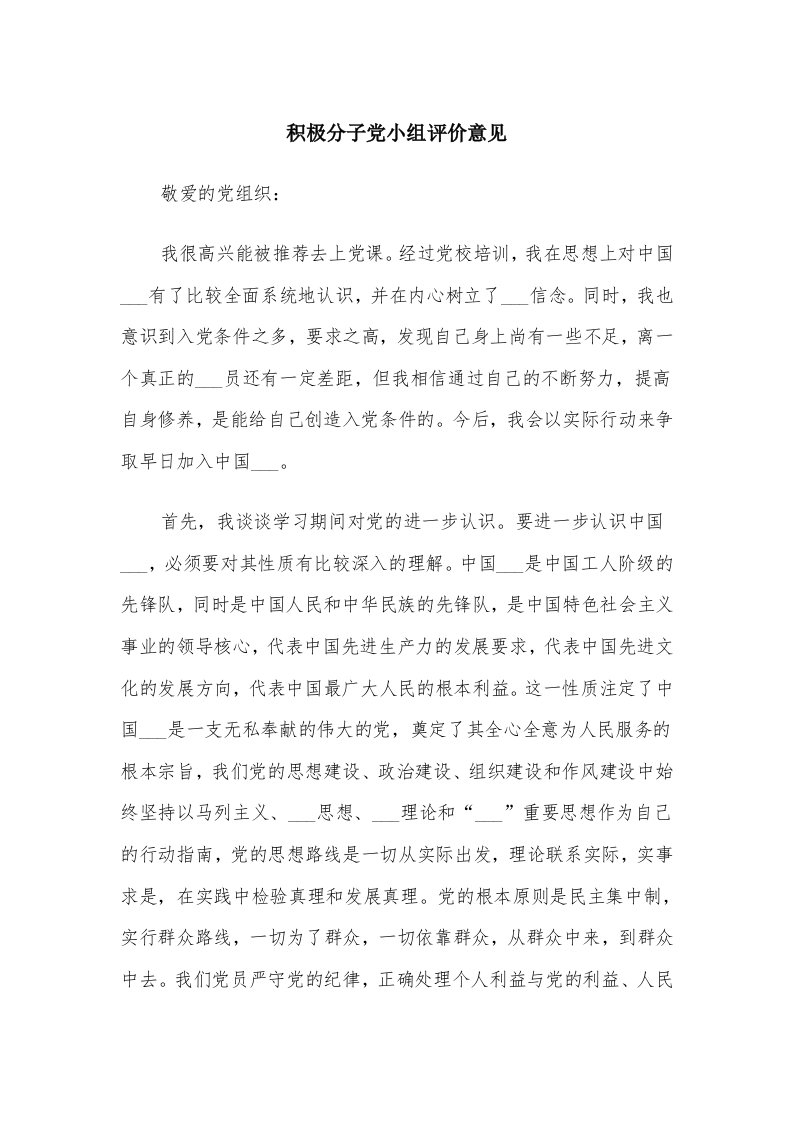 积极分子党小组评价意见