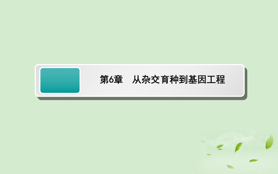 高中生物复习从杂交育种到基因工程课件新人教必修