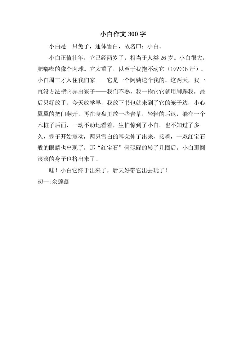 小白作文300字