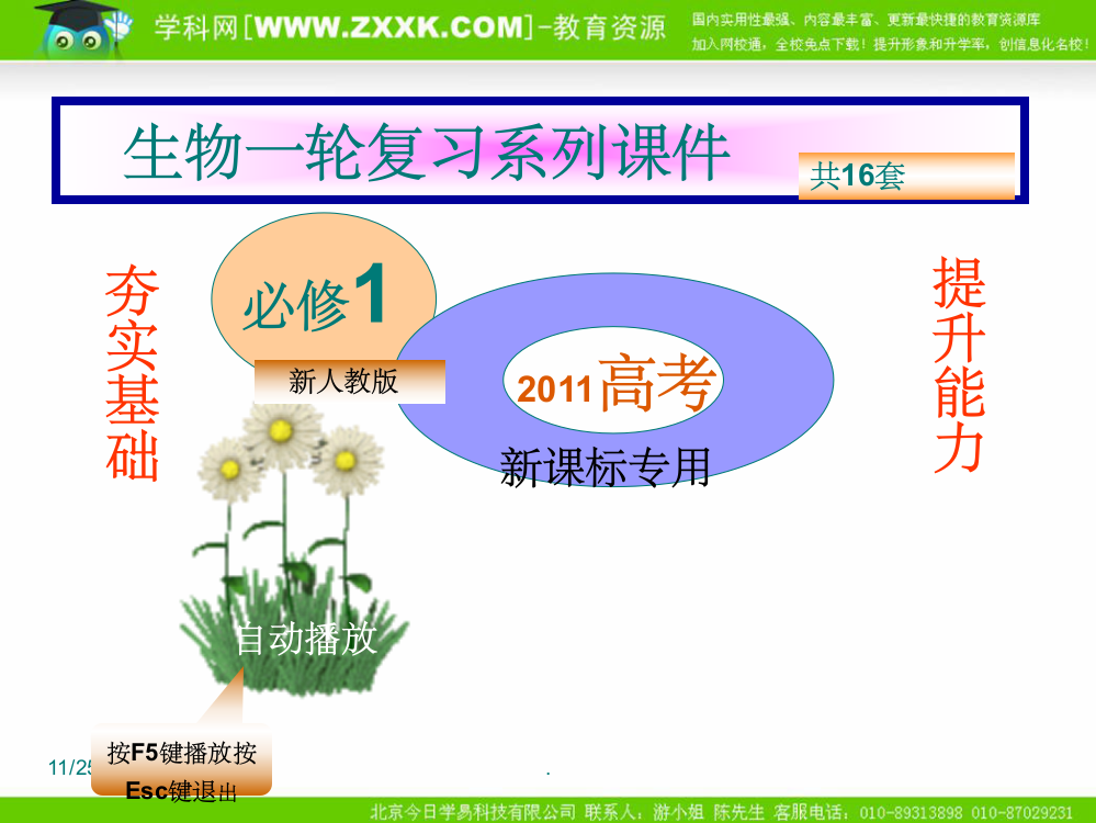 蛋白质、核酸的结构和功能ppt课件