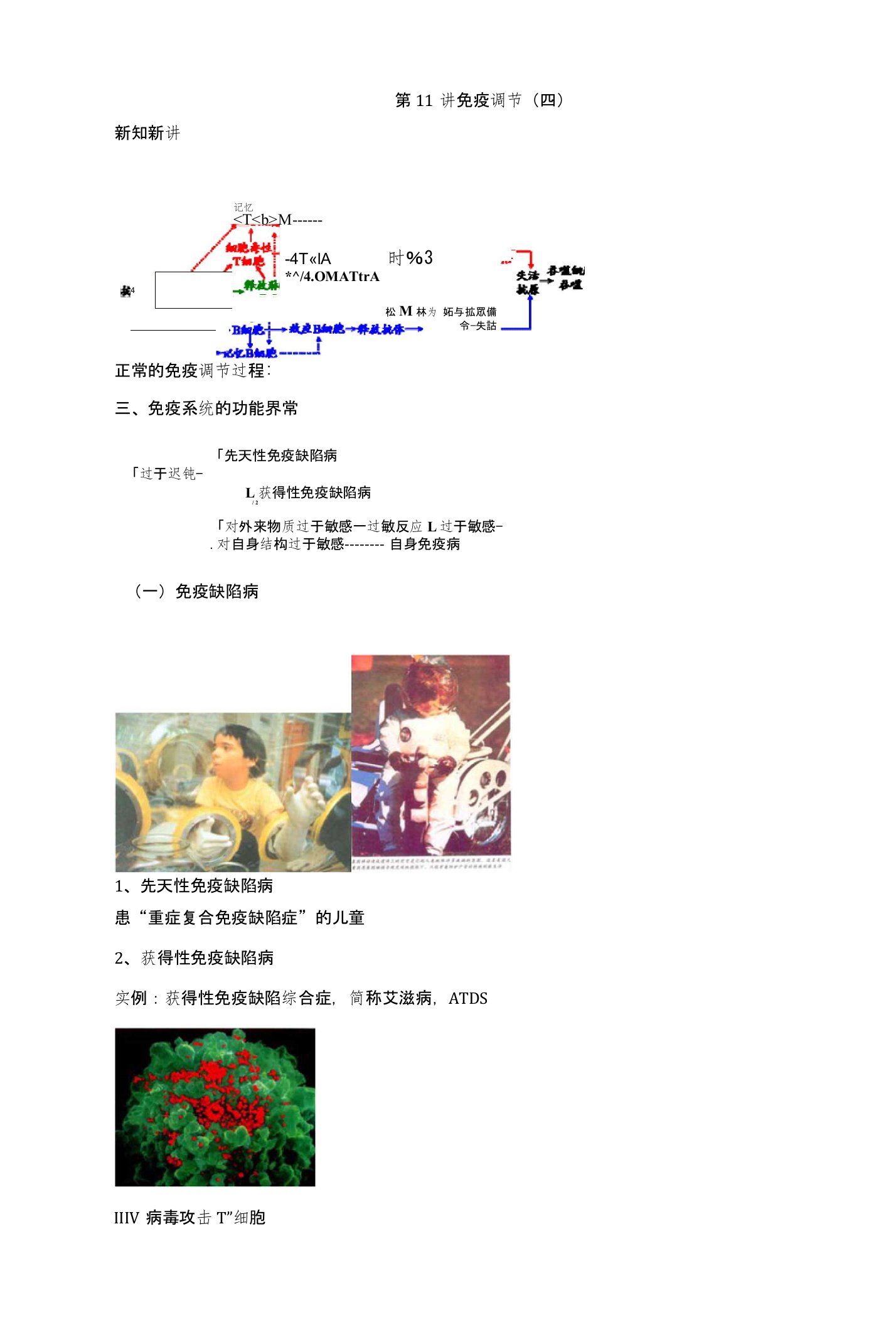 江苏省大丰市小海中学高二生物必修三同步课程讲义：第11讲免疫调节四