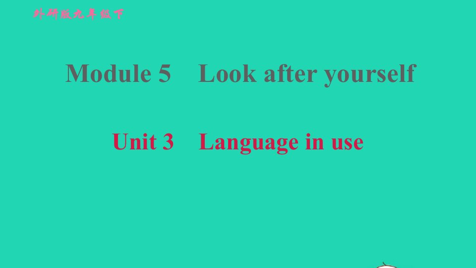 2022九年级英语下册Module5LookafteryourselfUnit3Languageinuse习题课件新版外研版