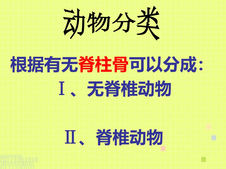 苏教版八年级生物千姿百态的动物世界ppt课件