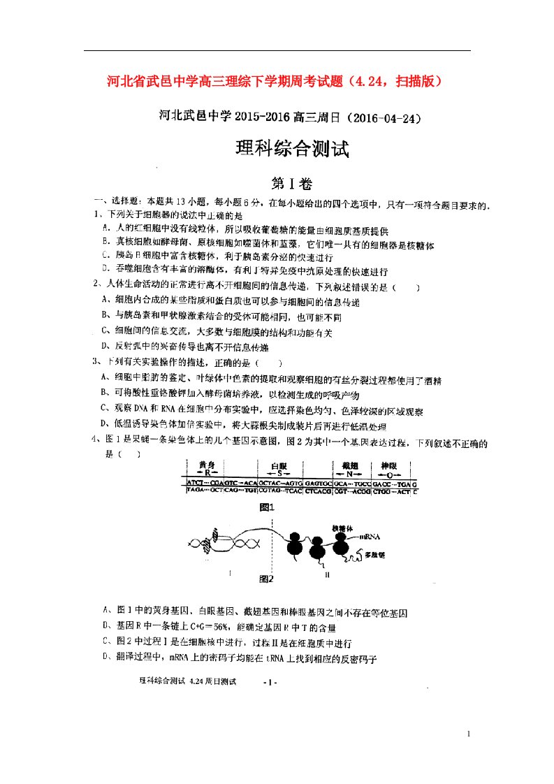 河北省武邑中学高三理综下学期周考试题（4.24，扫描版）