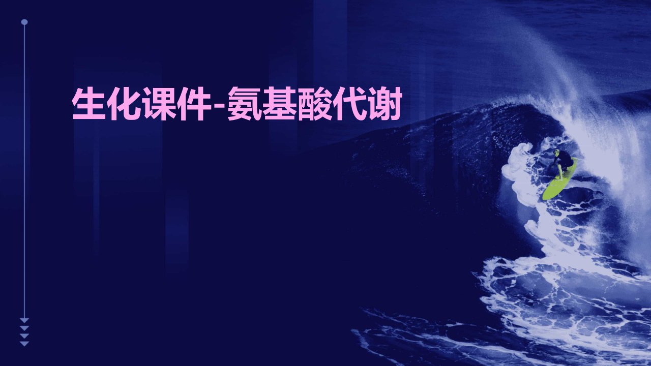 生化课件-氨基酸代谢