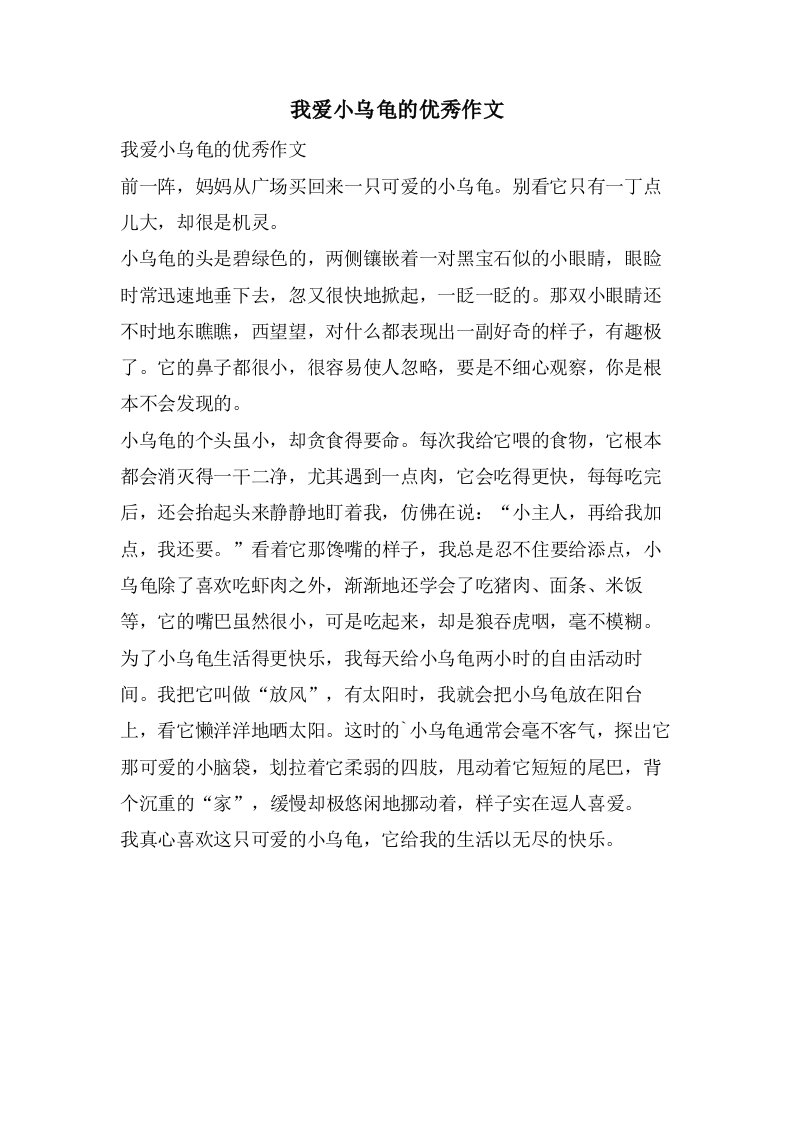 我爱小乌龟的作文