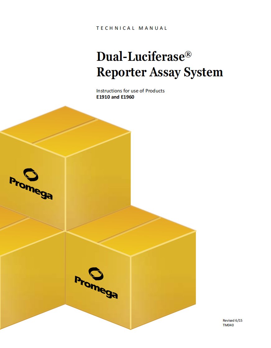 Dual-Luciferase