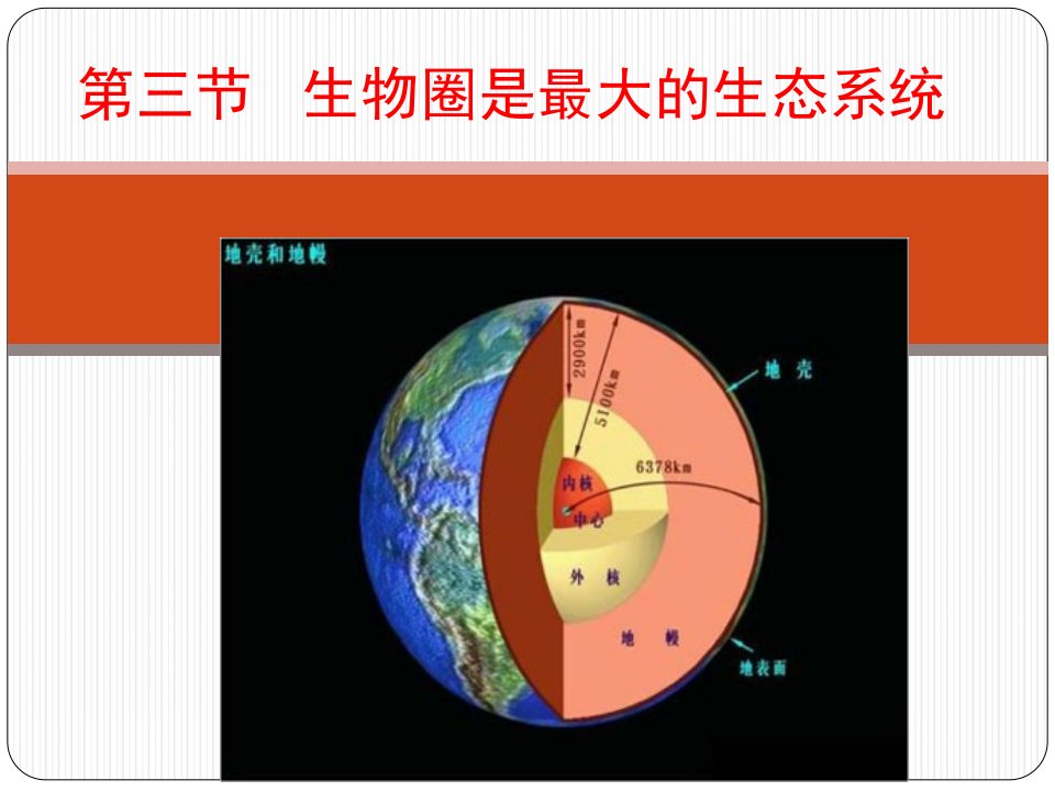 初中一年级生物上册课件