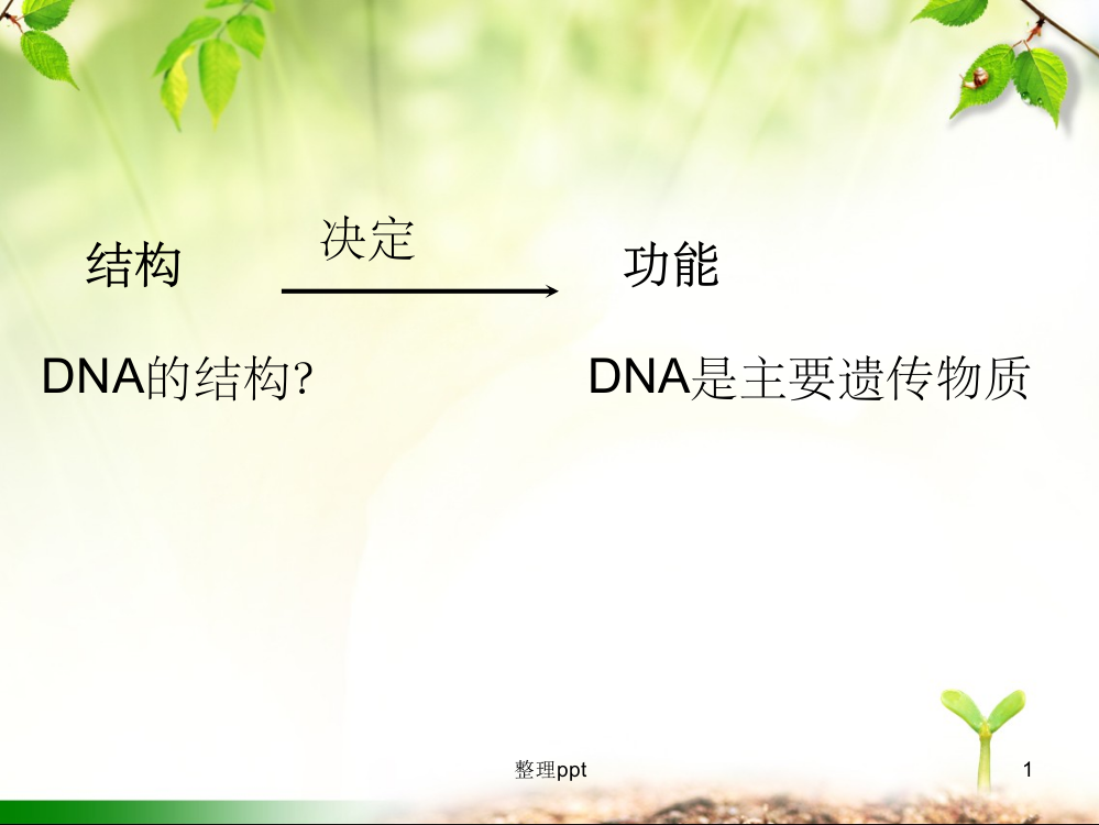 DNA分子的结构详解