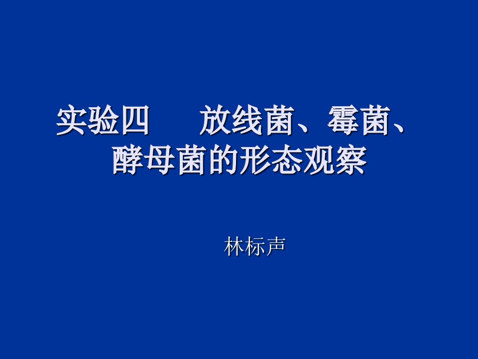 微生物实验四放线菌、霉菌、酵母菌的形态观察