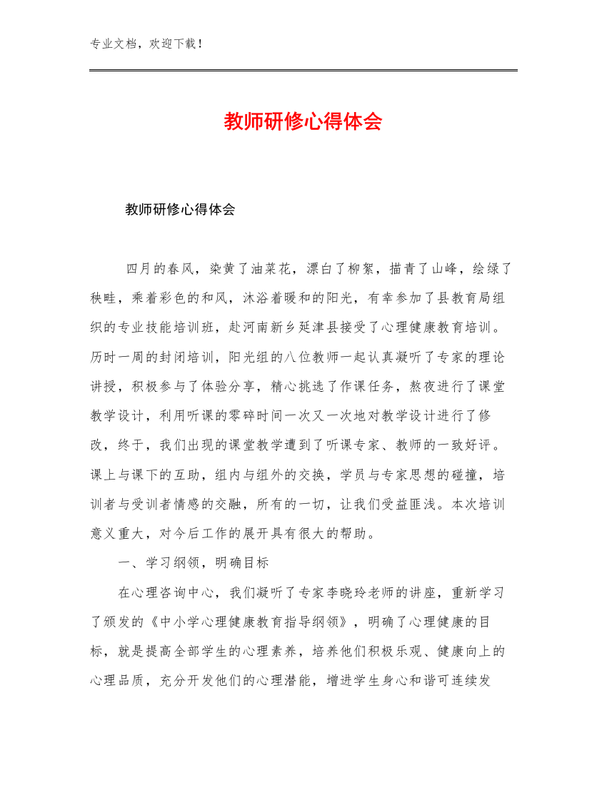 2023年教师研修心得体会例文30篇合集