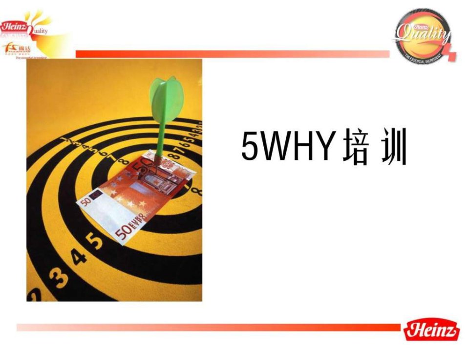 5WHY