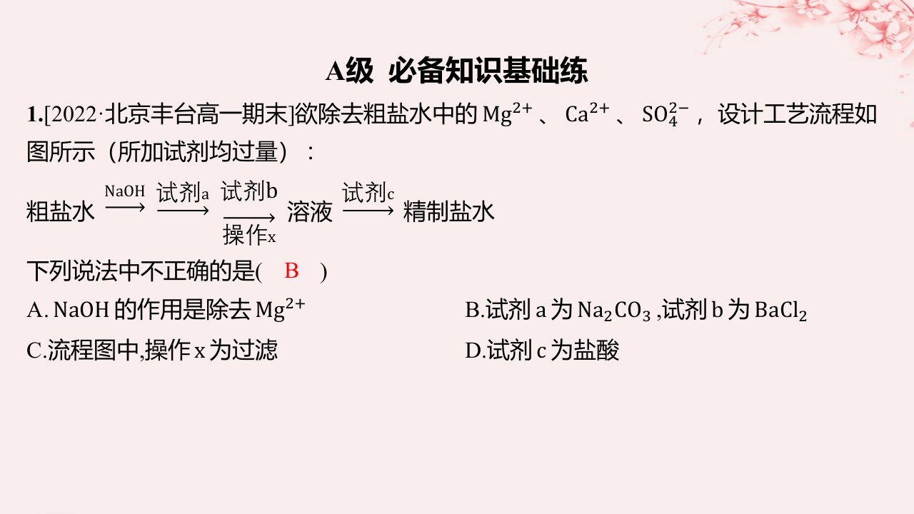 江苏专用2023_2024学年新教材高中化学专题3从海水中获得的化学物质第三单元海洋化学资源的综合利用第1课时粗盐提纯从海水中提取溴分层作业课件苏教版必修第一册